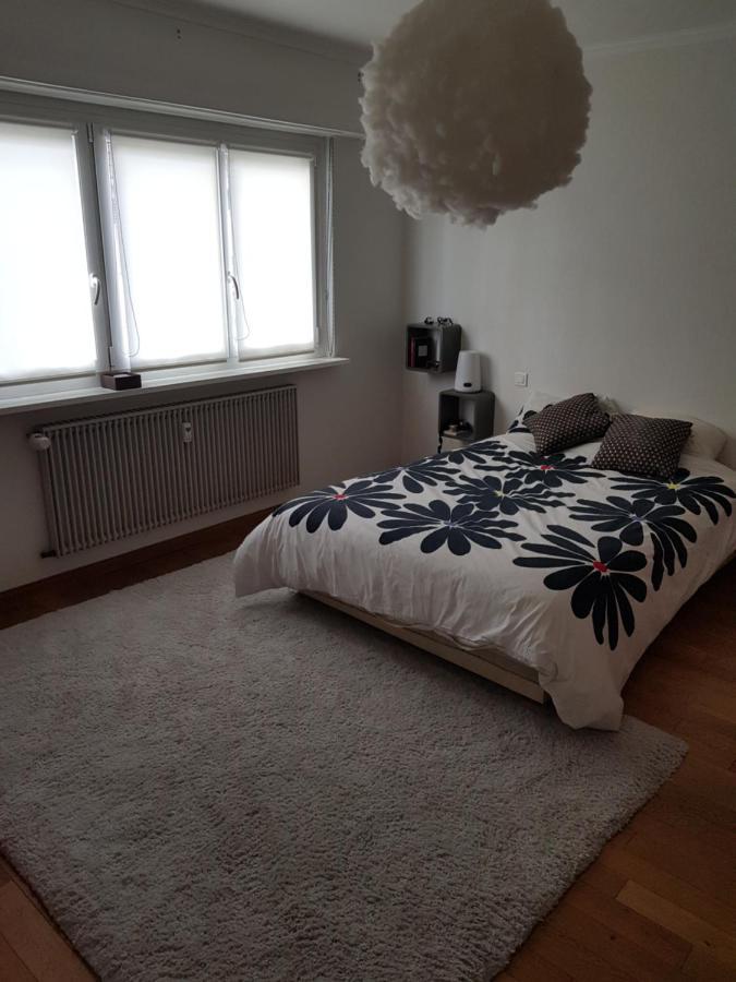 Joli Appartement Calme Et Spacieux, Proche Strasbourg Duppigheim Zewnętrze zdjęcie